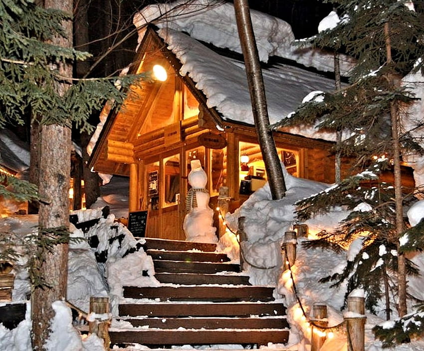 Champignons des neiges sur Cottage, Cottage, Hiver, , Neige Fond d'écran HD