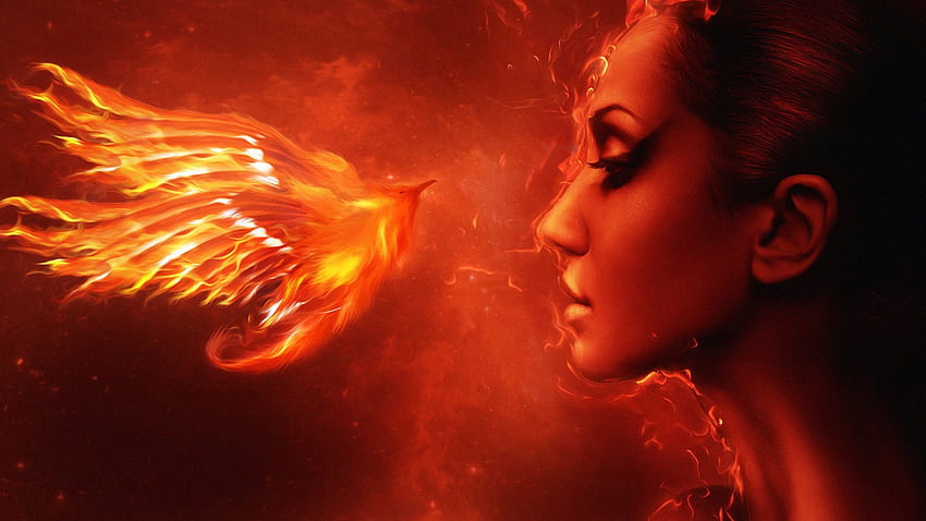 Girl and Phoenix, digital, bird, art, face, fire HD wallpaper