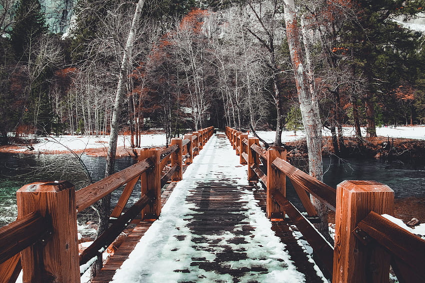 Winter, Natur, Bäume, Schnee, Brücke, Frühling HD-Hintergrundbild
