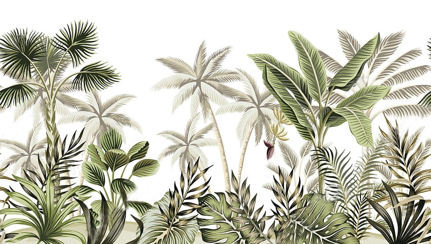 Bananenstaude, Tropisch, Dschungel, Afrika, Peel&Stick, Wand HD-Hintergrundbild