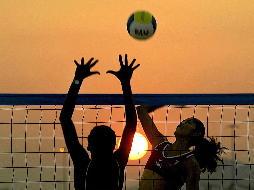 Volleyball, Volleyball Net HD wallpaper