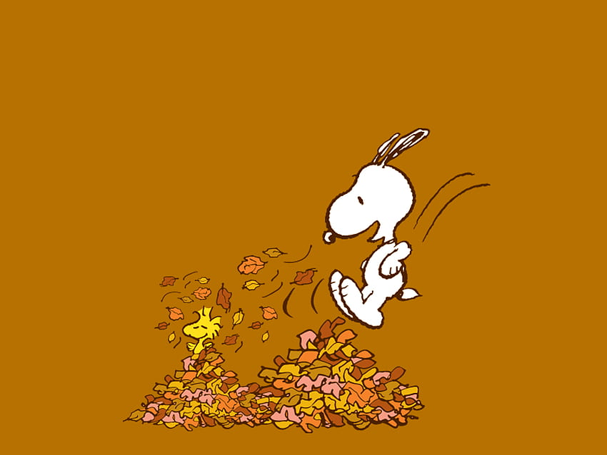 I'm Thankful For. Snoopy, Charlie brown and Peanuts gang, Snoopy Thanksgiving HD wallpaper