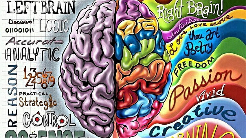 left right brain wallpaper