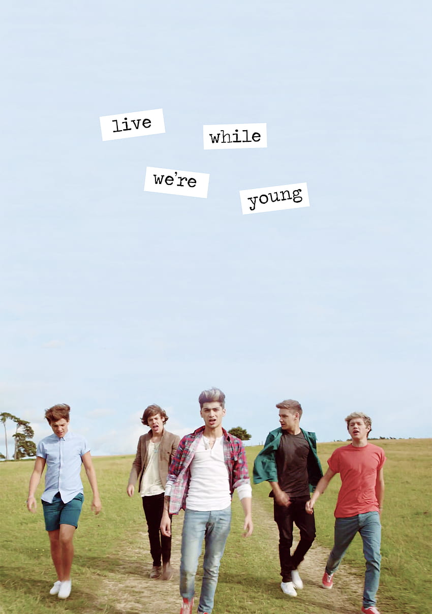 One Direction iPhone, One Direction Cartoon iPhone HD phone wallpaper