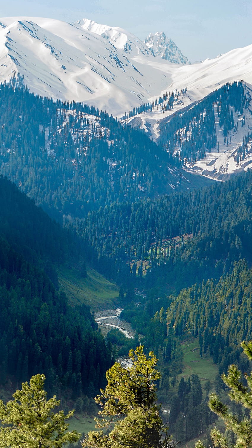 낮 동안 눈 덮인 산 – 잠무와 카슈미르, 잠무 카슈미르 HD 전화 배경 화면