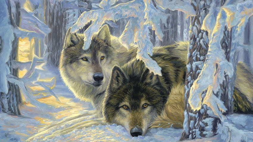 Wolf, Grau, Schnee, Deutschland HD wallpaper