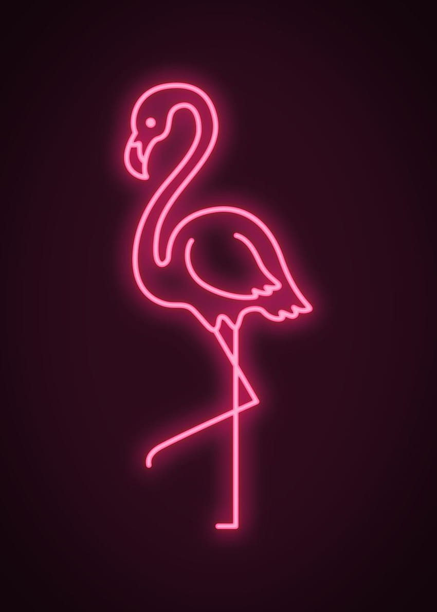 Lights Out, Neon Pink Flamingo HD phone wallpaper