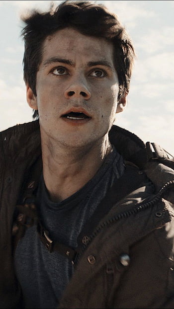 100 Quality Dylan O Brien Hd Wallpapers  Dylan O Brien Laptop HD Png  Download  Transparent Png Image  PNGitem