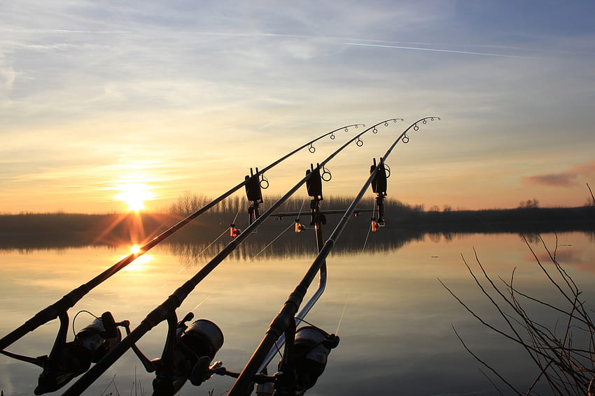 Best Rods For Your Next Carp Fishing Trip HD wallpaper