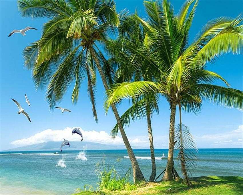 해변 코코넛 나무, 코코넛 잎 HD 월페이퍼