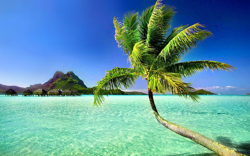 Playa, palmera, Verano, Puesta de sol, Paraíso, Mar, Fantástico fondo de pantalla