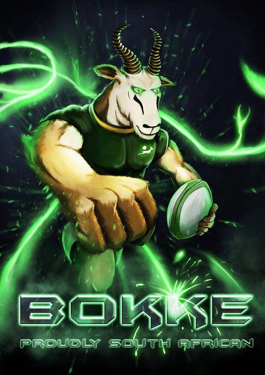 Springboks, South Africa Rugby HD phone wallpaper