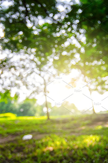 Background Blur Blurry Blue teahubio Blurry Nature HD wallpaper  Pxfuel