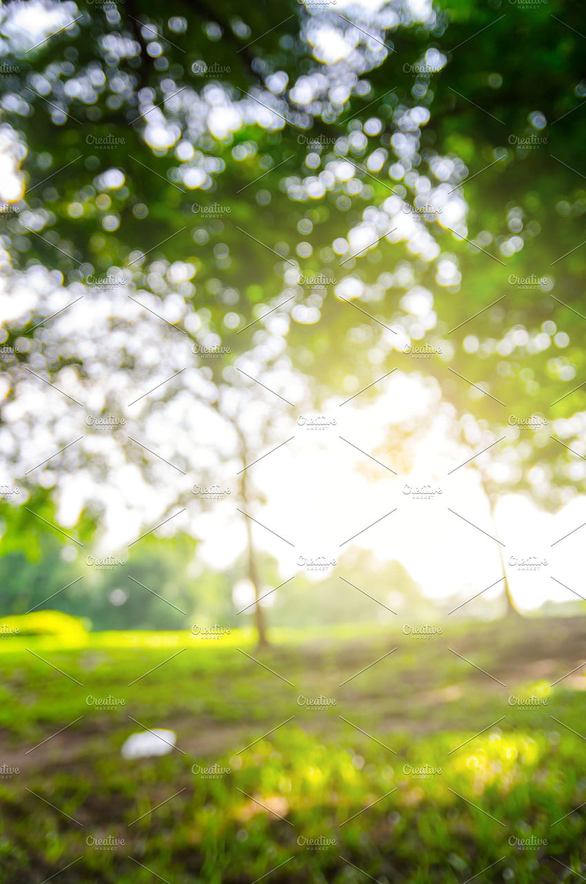 Dslr Natura Tło, DSLR Rozmycie Tapeta na telefon HD