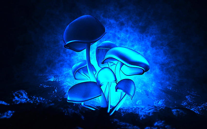 Mushrooms –, Blue Mushroom HD wallpaper