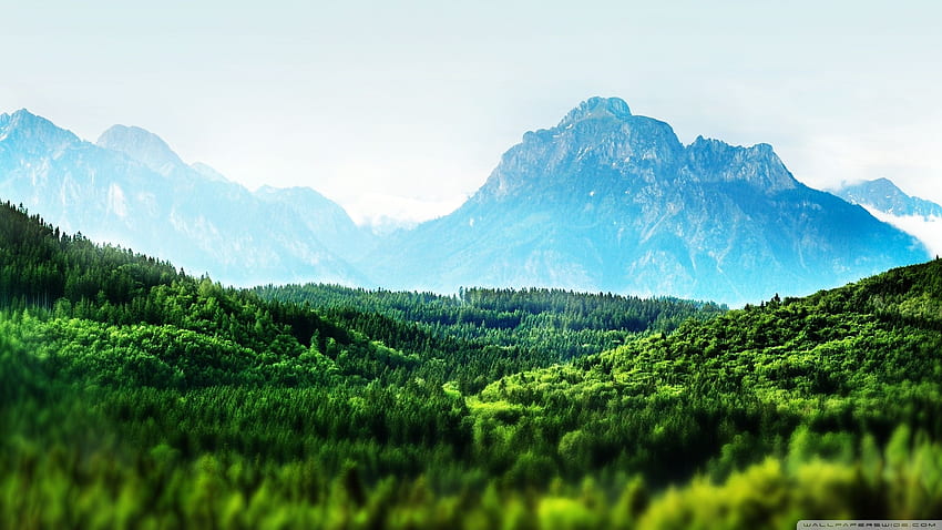 Pergeseran Kemiringan Hutan Gunung ❤ Untuk Ultra, Gunung Hutan Wallpaper HD
