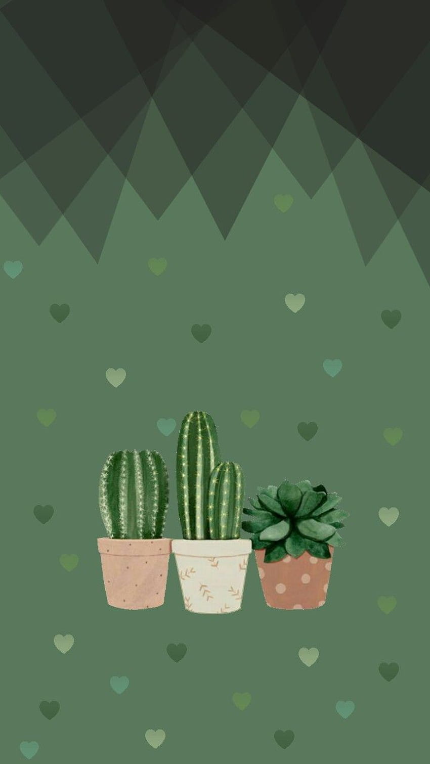 Cactus HD phone wallpaper