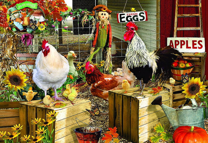 Polli in fattoria, mele, pittura, fiori, gallina, gallo Sfondo HD