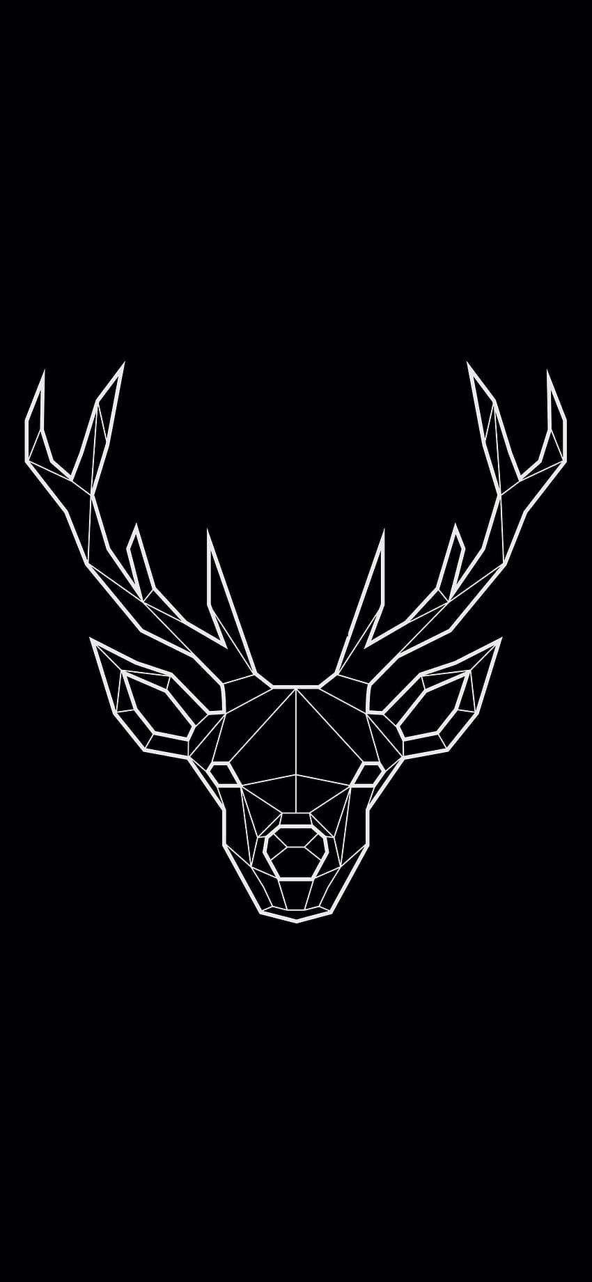 deer 160, Deer Black and White HD phone wallpaper