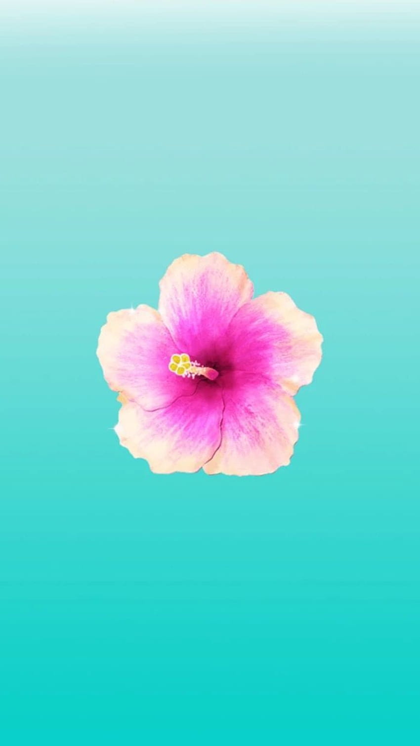 missrussell flower, Flower iphone , Flower, Cute Tropical Flowers Tumblr HD phone wallpaper