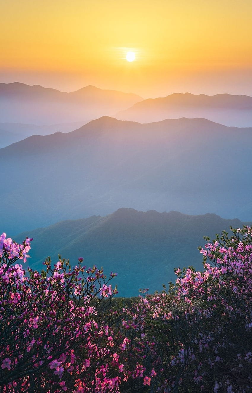 Spring Calm. Muju, South Korea By - Nathaniel Merz HD phone wallpaper
