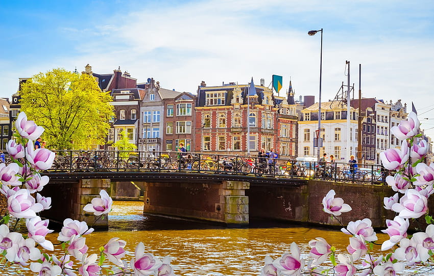 bridge, river, spring, Amsterdam, flowering, bridge, blossom, Amsterdam, flowers, old, spring, buildings, Netherlands, canal for , section город HD wallpaper