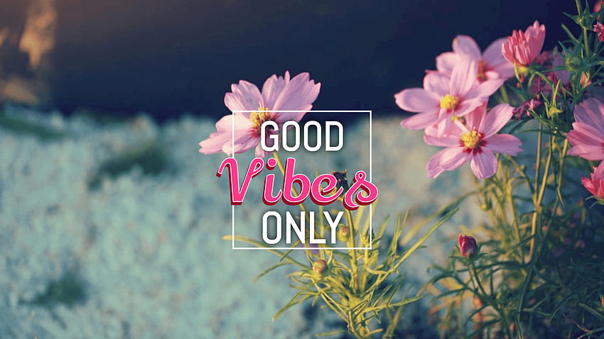 Positive Vibes - バット、Good Vibes ラップトップの Positive Vibes 背景 高画質の壁紙