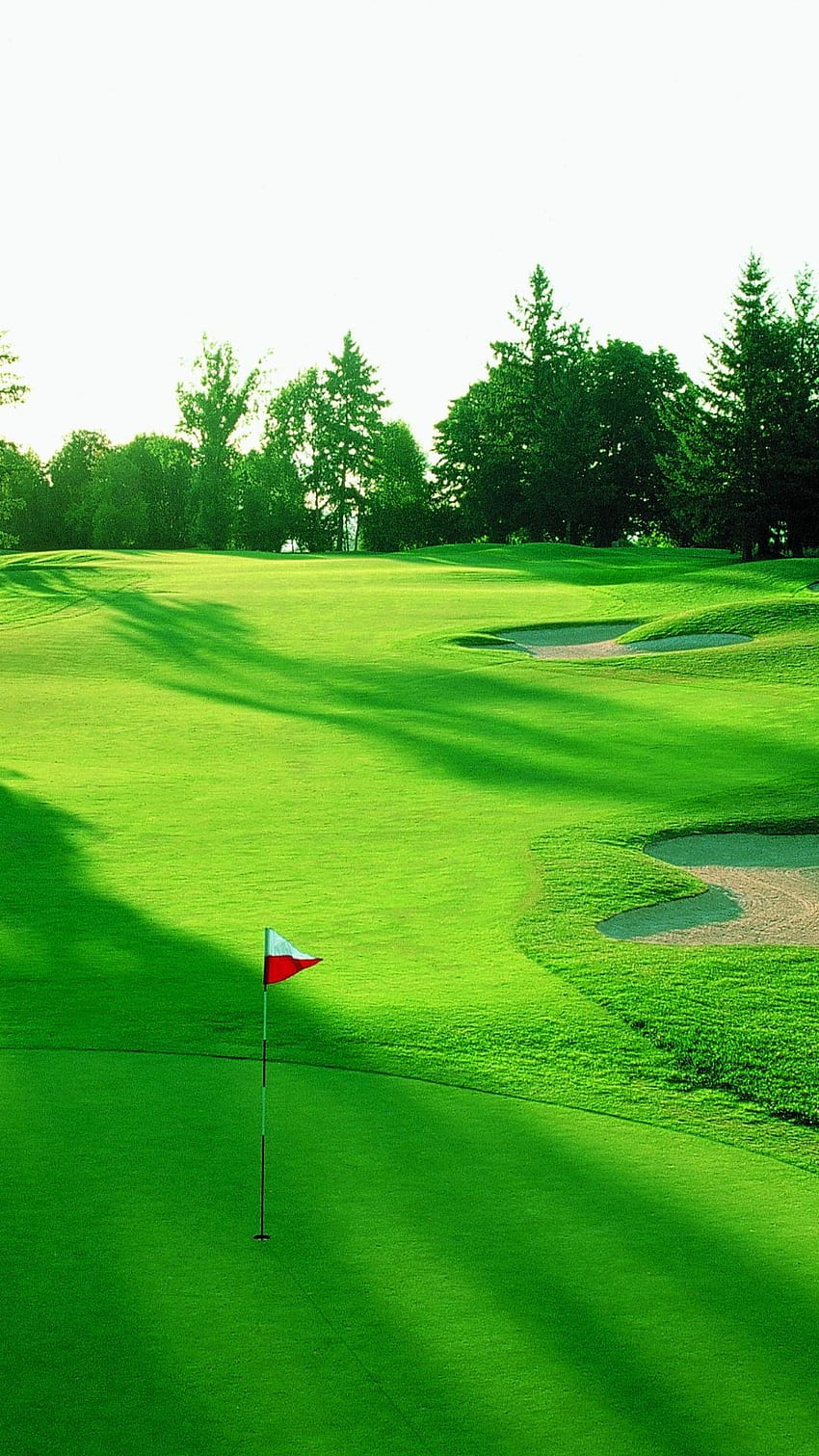 Golfplatz, Golftelefon HD-Handy-Hintergrundbild