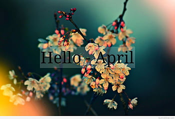 April Wallpaper 69 images