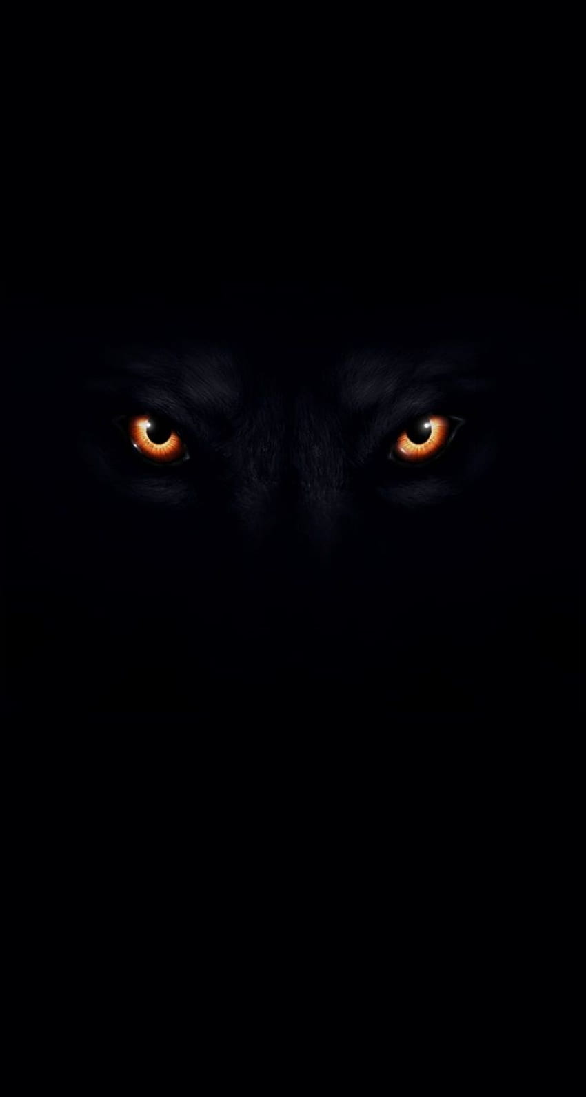 あなたの、モバイル、タブレット用の赤い目の黒いオオカミ[]に戻ります。 黒オオカミを探索します。 オオカミ、の HD電話の壁紙