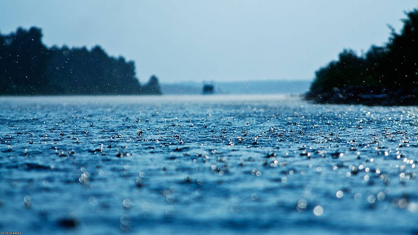 depth Of Field, Lake, Water, Rain / and Mobile Background HD wallpaper