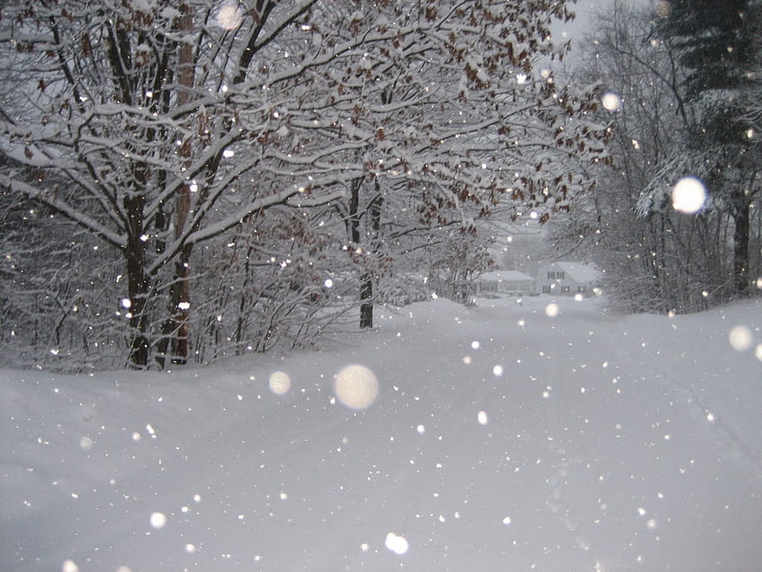 Snow Storm Full Window 최고 등급 [], 모바일 및 태블릿용. 겨울 폭풍을 탐험하세요. , 라이브에 대한 뇌우 HD 월페이퍼