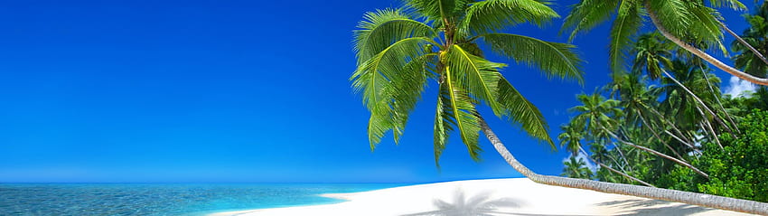 Seychelles Resort, Oceano, Vacanza, Spiaggia, Isola, 3840x1080 Spiaggia Sfondo HD