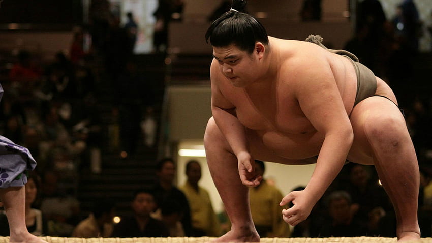 Sumo Wrestlers HD wallpaper