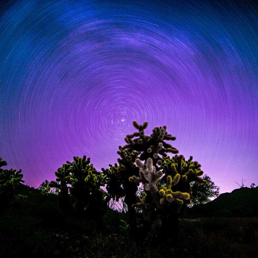 пейзаж, звездно небе, цветен, дърво, Stary Skies Colorful HD тапет за телефон