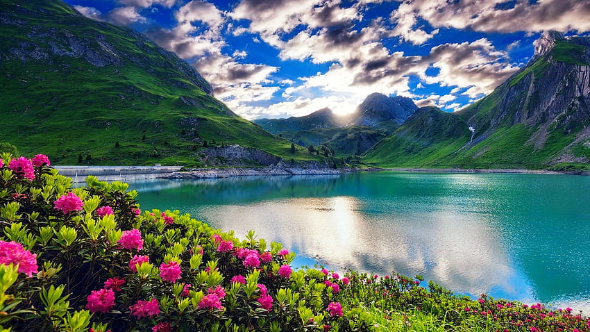 Lago de montanha, colinas, reflexão, nuvens, linda, céu, lago, montanha, tranquilidade, serenidade, flores silvestres papel de parede HD