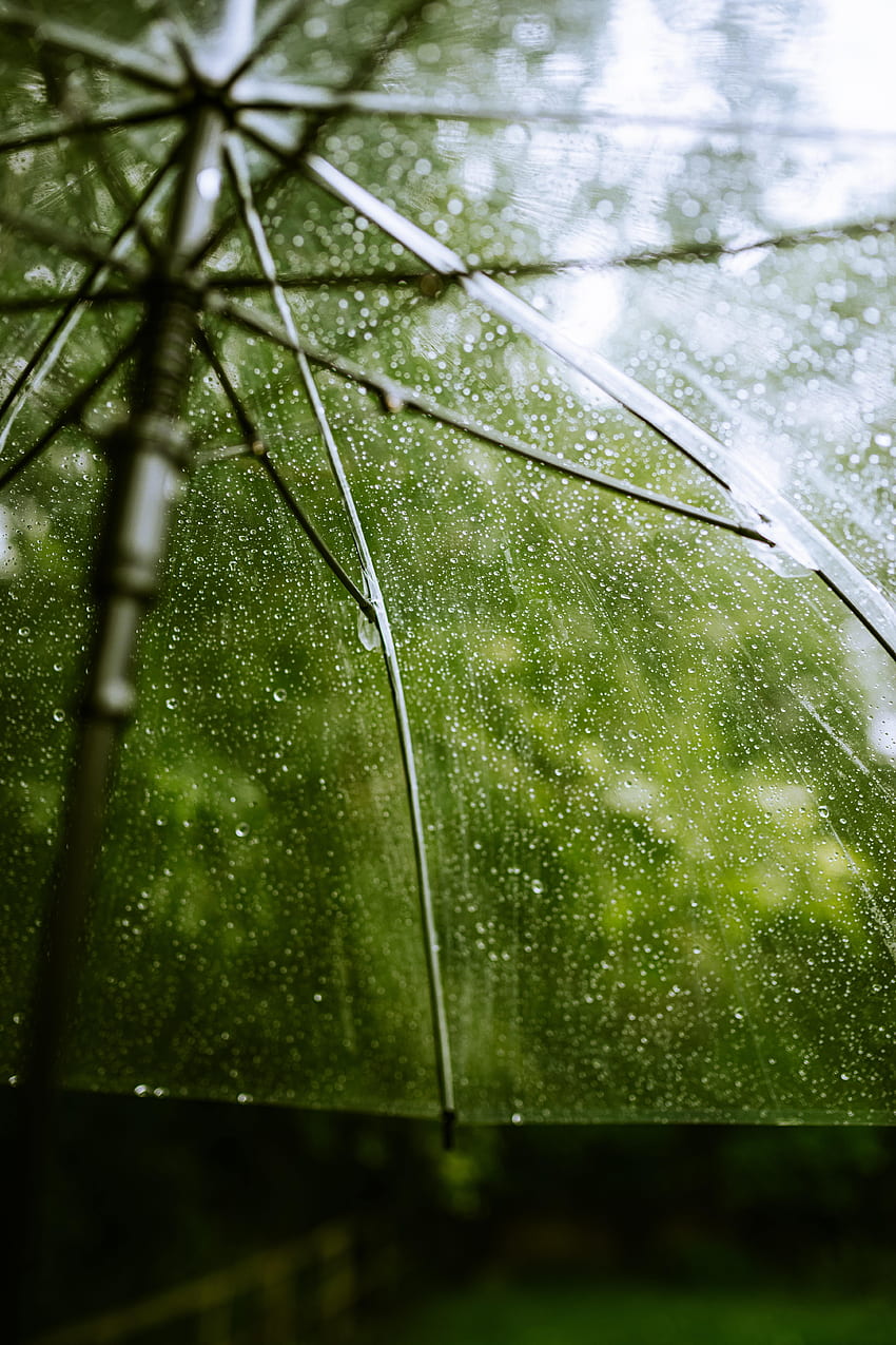 Rain, Drops, Transparent, Macro, Umbrella HD phone wallpaper