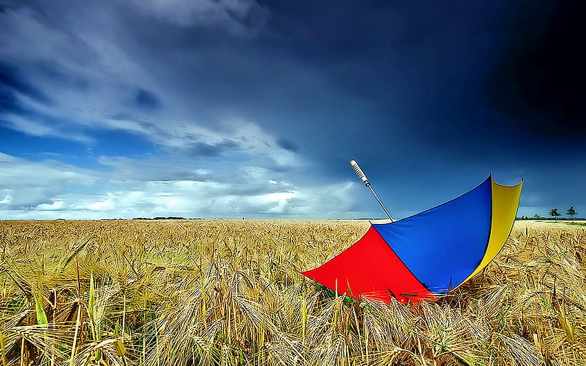 Blue Sky, blue, umbrella, colorful, colors, peaceful, beauty, nice, amazing, landscape, beautiful, stormy, yellow, red, view, clouds, nature, sky, lovely, splendor, storm HD wallpaper