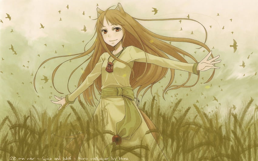 Holo, Spice and Wolf, birds, girl, long hair, tail, dress, wolf ears, anime HD wallpaper