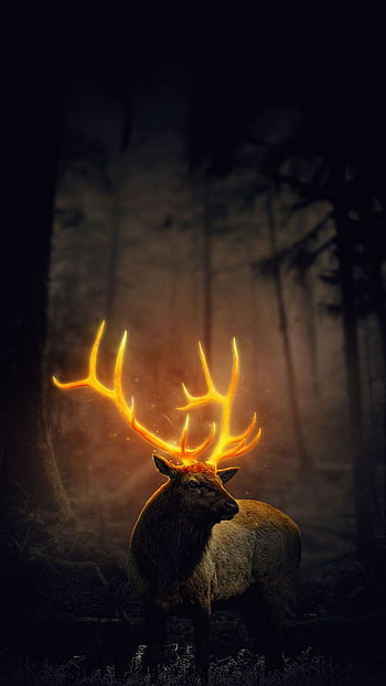 Elk Running From Forest Fire, elk, forest fire, animal, graphy ...
