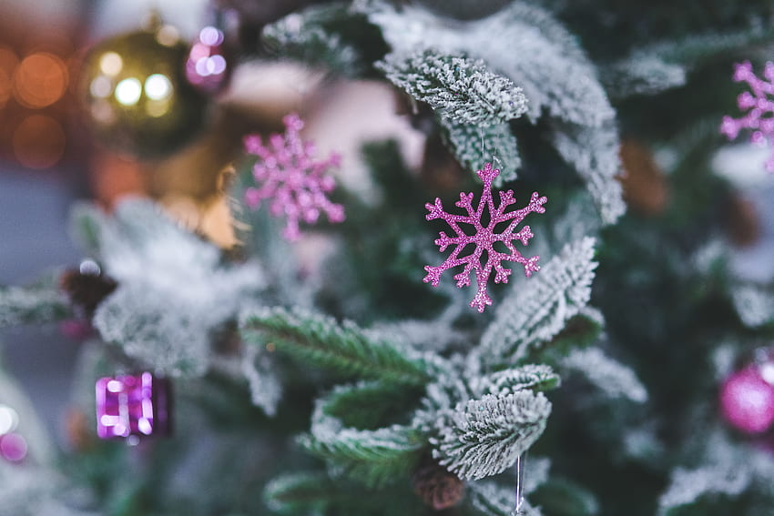 Święta, świerk, jodła, płatek śniegu, dekoracja świąteczna Tapeta HD