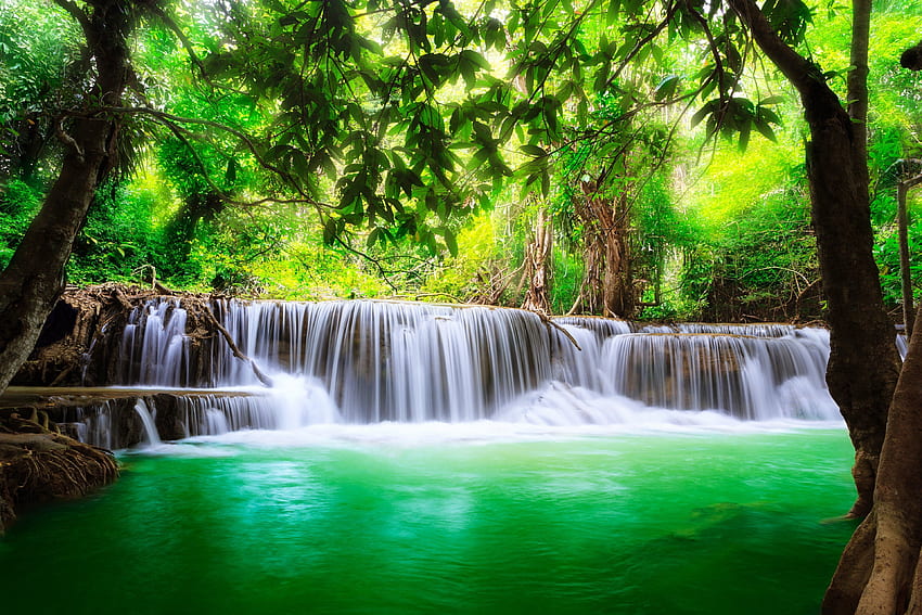 Wodospad jeziora przyroda drzewa dżungla woda wiosna krajy piękno ziemi. Tapeta HD
