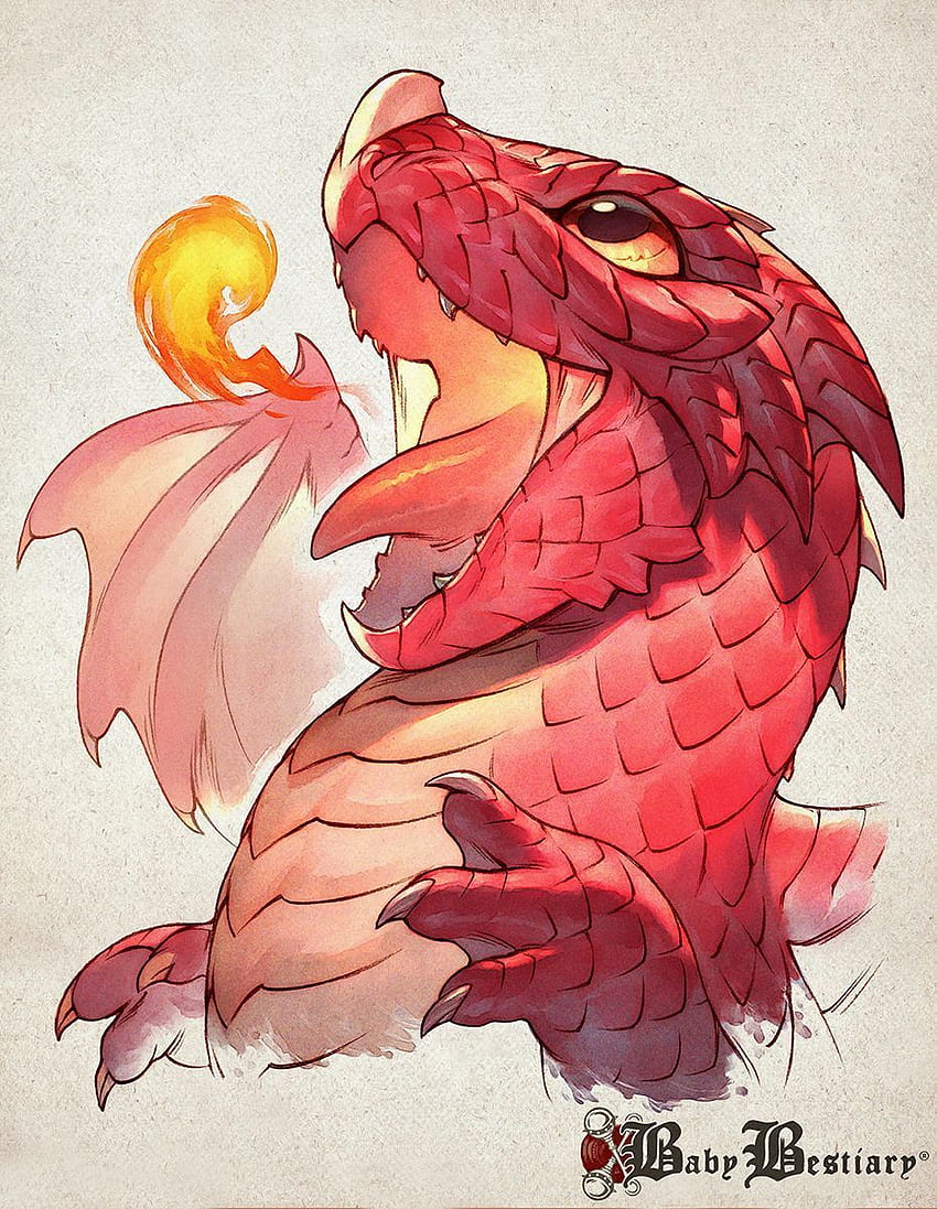 Pin by redacted on Dragons | Chibi dragon, Cute dragons, Chibi