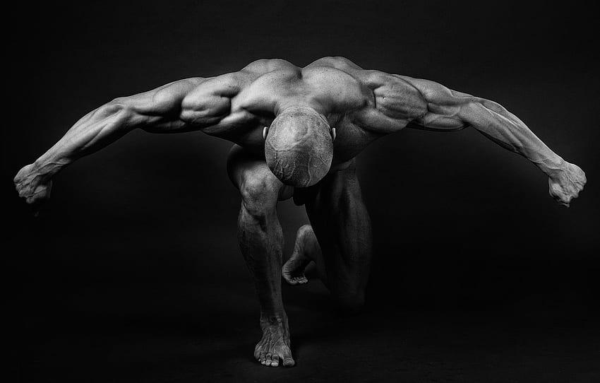 otot, pose, punggung, lengan, binaragawan untuk , bagian Спорт Wallpaper HD