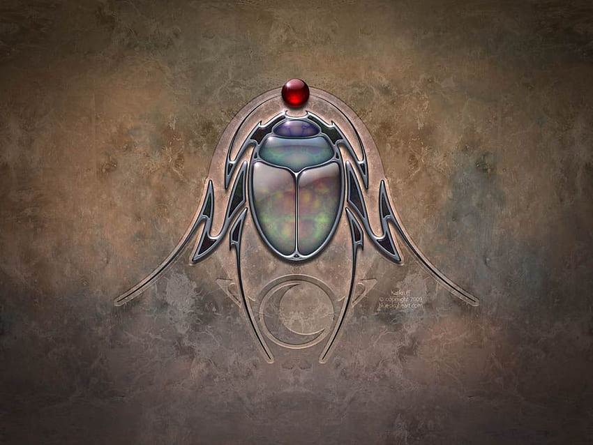 Escaravelho . Escaravelho de Aladdin, escaravelho egípcio e besouro escaravelho papel de parede HD