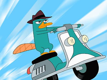 perry the platypus wallpaper