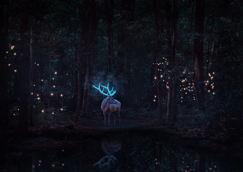 Stag , Deer, Forest Trees, Surreal, Dark background, Animals HD wallpaper