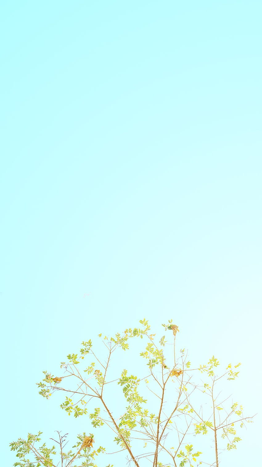 Spring. Phong cảnh, Hình ảnh, Thiên nhiên, Spring Minimalist HD phone wallpaper