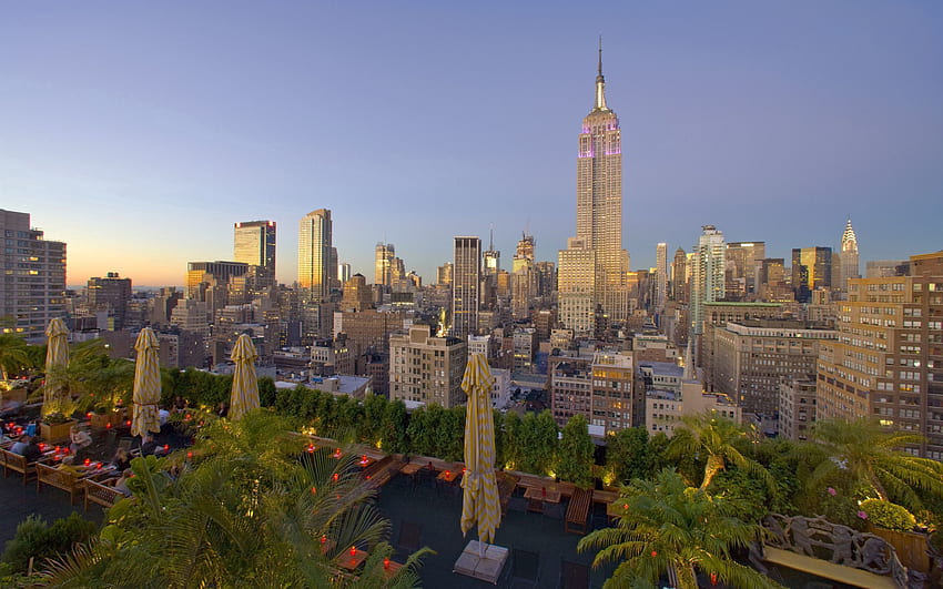 Städte, Palmen, Gebäude, Ansicht von oben, Wolkenkratzer, New York, Ny HD-Hintergrundbild