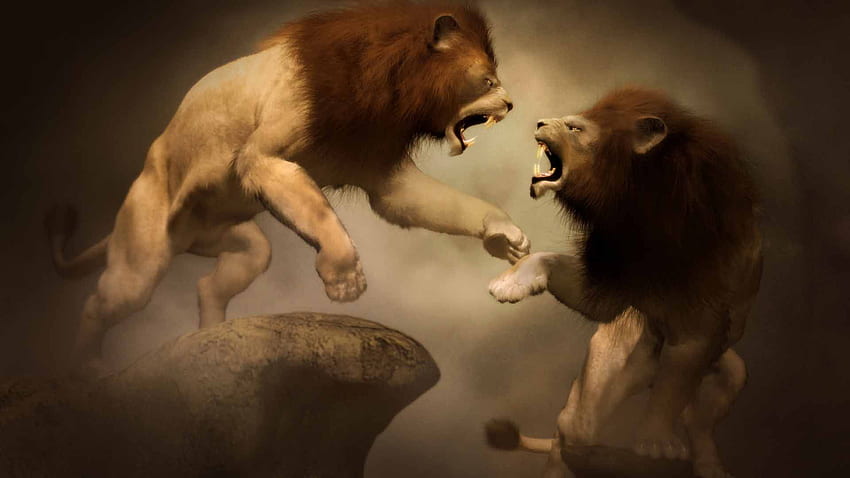 Leones peleando - Dos leones peleando Dibujo -, Cool Lion fondo de pantalla  | Pxfuel